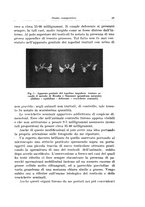 giornale/CFI0440930/1931-1932/unico/00000035
