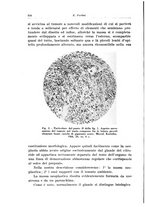 giornale/CFI0440930/1931-1932/unico/00000334