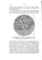 giornale/CFI0440930/1931-1932/unico/00000340