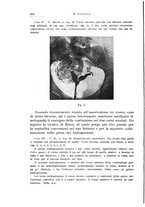 giornale/CFI0440930/1931-1932/unico/00000352
