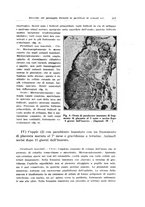 giornale/CFI0440930/1931-1932/unico/00000435