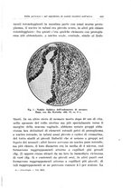 giornale/CFI0440930/1931-1932/unico/00000487