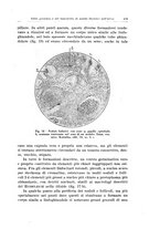 giornale/CFI0440930/1931-1932/unico/00000505