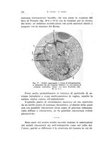 giornale/CFI0440930/1931-1932/unico/00000506