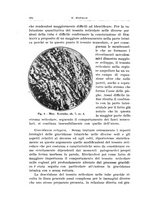 giornale/CFI0440930/1931-1932/unico/00000614