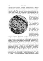 giornale/CFI0440930/1931-1932/unico/00000616