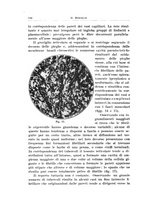 giornale/CFI0440930/1931-1932/unico/00000626