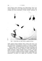 giornale/CFI0440930/1931-1932/unico/00000678