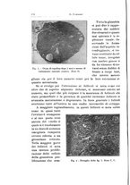giornale/CFI0440930/1931/unico/00000184