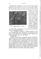 giornale/CFI0440930/1931/unico/00000186