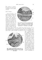 giornale/CFI0440930/1931/unico/00000197