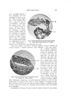 giornale/CFI0440930/1931/unico/00000201