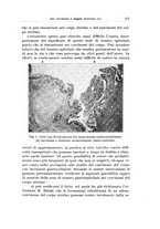 giornale/CFI0440930/1931/unico/00000285