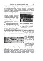 giornale/CFI0440930/1932-1933/unico/00000261