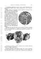 giornale/CFI0440930/1932-1933/unico/00000359
