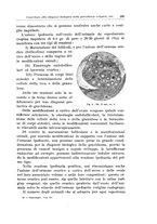 giornale/CFI0440930/1933/unico/00000287