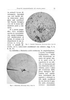 giornale/CFI0440930/1934-1935/unico/00000079