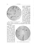 giornale/CFI0440930/1934-1935/unico/00000080