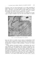 giornale/CFI0440930/1934-1935/unico/00000287