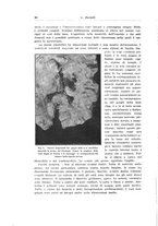 giornale/CFI0440930/1934/unico/00000086