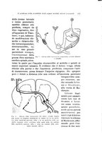 giornale/CFI0440930/1934/unico/00000147