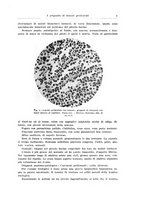 giornale/CFI0440930/1935/v.2/00000019