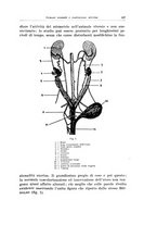 giornale/CFI0440930/1936/unico/00000177