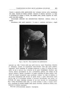 giornale/CFI0440930/1936/unico/00000287