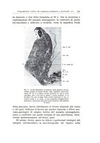 giornale/CFI0440930/1936/unico/00000361