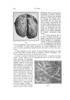 giornale/CFI0440930/1936/unico/00000392