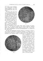 giornale/CFI0440930/1937/unico/00000205