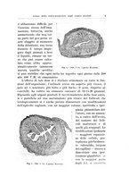 giornale/CFI0440930/1939-1940/unico/00000013