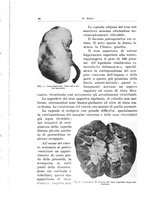 giornale/CFI0440930/1939-1940/unico/00000096