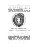 giornale/CFI0440930/1940-1941/unico/00000056