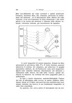 giornale/CFI0440930/1940-1941/unico/00000312