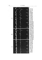 giornale/CFI0440930/1941-1942/unico/00000036