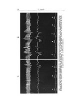 giornale/CFI0440930/1941-1942/unico/00000038