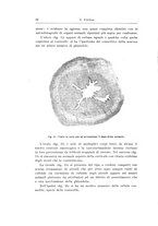 giornale/CFI0440930/1941-1942/unico/00000114
