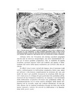 giornale/CFI0440930/1941-1942/unico/00000162