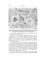 giornale/CFI0440930/1941-1942/unico/00000166