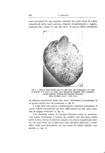 Rivista italiana di ginecologia pubblicazione bimestrale