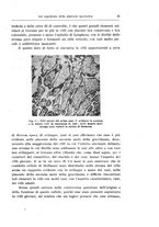 giornale/CFI0440930/1942-1943/unico/00000043