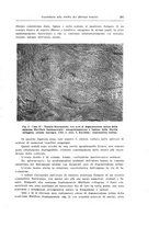 giornale/CFI0440930/1942-1943/unico/00000221