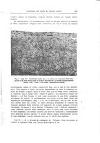 giornale/CFI0440930/1942-1943/unico/00000225