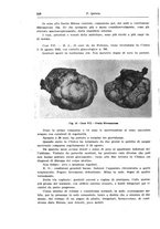 giornale/CFI0440930/1942-1943/unico/00000234