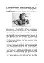 giornale/CFI0440930/1944/unico/00000019
