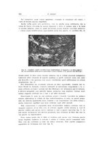 giornale/CFI0440930/1946/unico/00000298