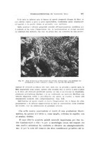 giornale/CFI0440930/1946/unico/00000299