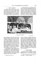 giornale/CFI0441102/1925/unico/00000275