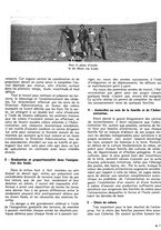 giornale/CFI0441518/1939/unico/00000137